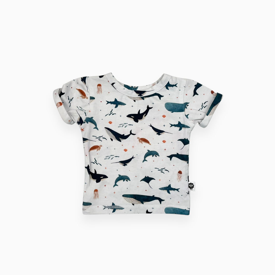 T-shirt blanc en coton extensible à imprimé animaux des fonds marins 1-6M